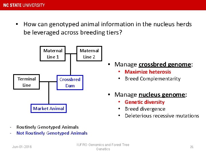  • How can genotyped animal information in the nucleus herds be leveraged across