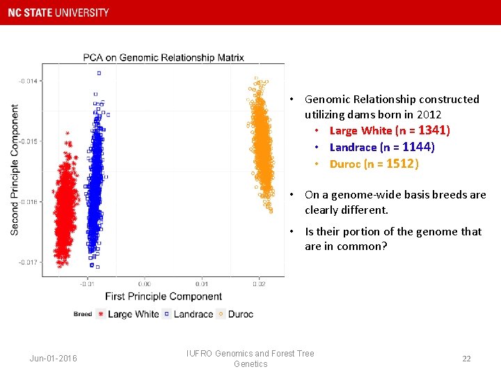  • Genomic Relationship constructed utilizing dams born in 2012 • Large White (n