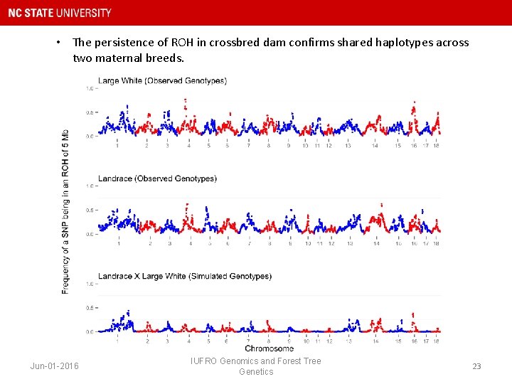  • The persistence of ROH in crossbred dam confirms shared haplotypes across two