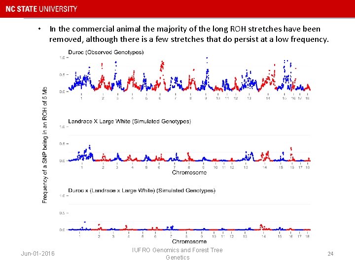  • In the commercial animal the majority of the long ROH stretches have
