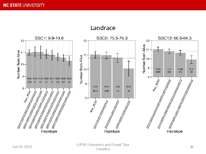 Landrace Jun-01 -2016 IUFRO Genomics and Forest Tree Genetics 36 