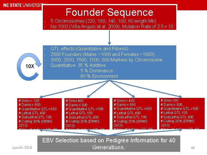 Founder Sequence 10 X - 5 Chromosomes (220, 180, 140, 100, 60 length Mb)