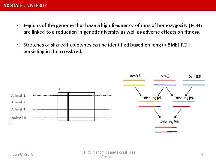  • Regions of the genome that have a high frequency of runs of