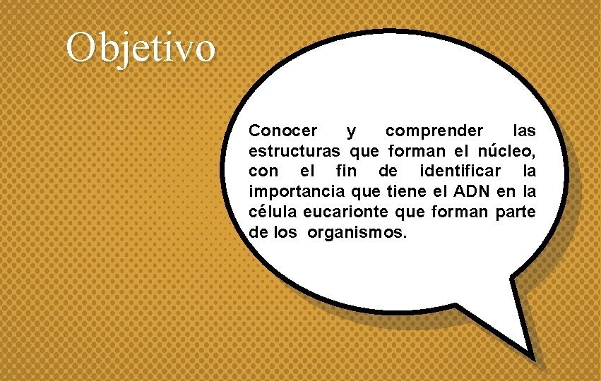 O bjetivo Conocer y comprender las estructuras que forman el núcleo, con el fin