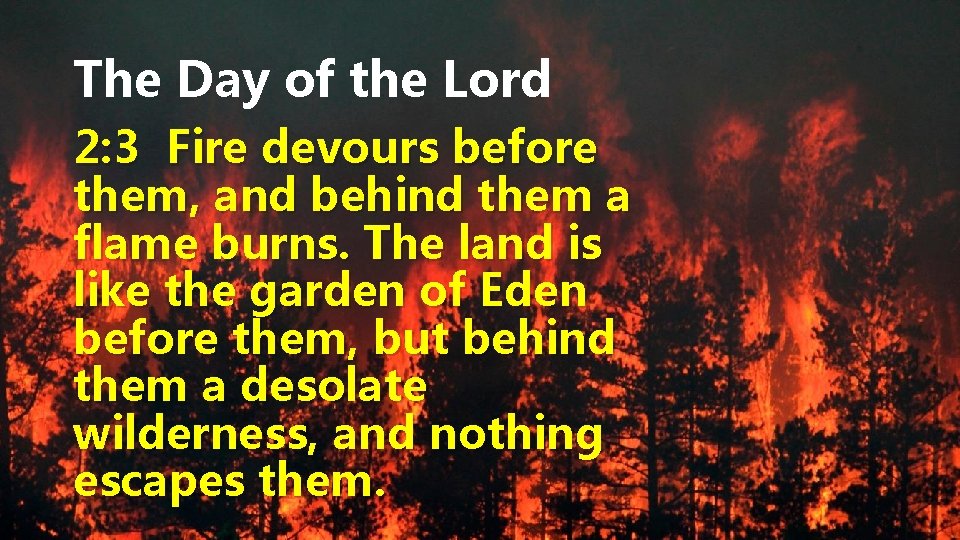 The Day of the Lord 2: 3 Fire devours before them, and behind them