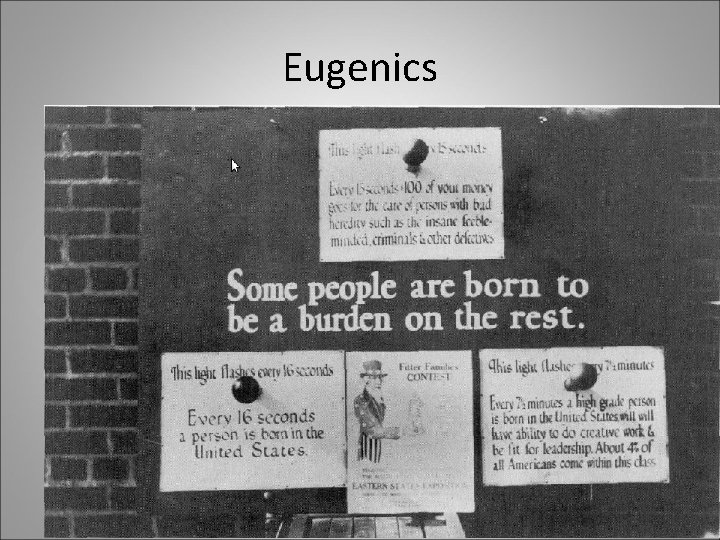 Eugenics 