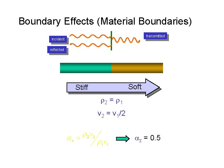 Boundary Effects (Material Boundaries) transmitted incident reflected Soft Stiff r 2 = r 1