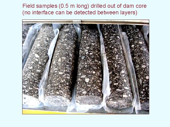 Field samples (0. 5 m long) drilled out of dam core (no interface can