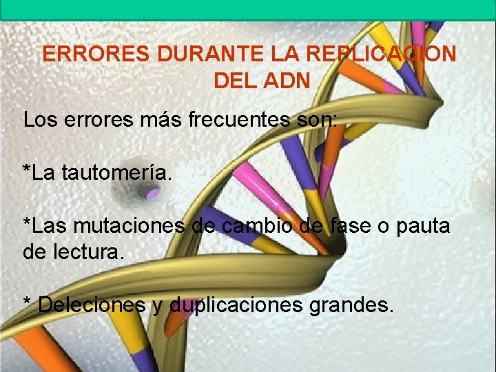 MUTACIONES Biología. 2º Bachillerato ERRORES DURANTE LA REPLICACION DEL ADN Los errores más frecuentes