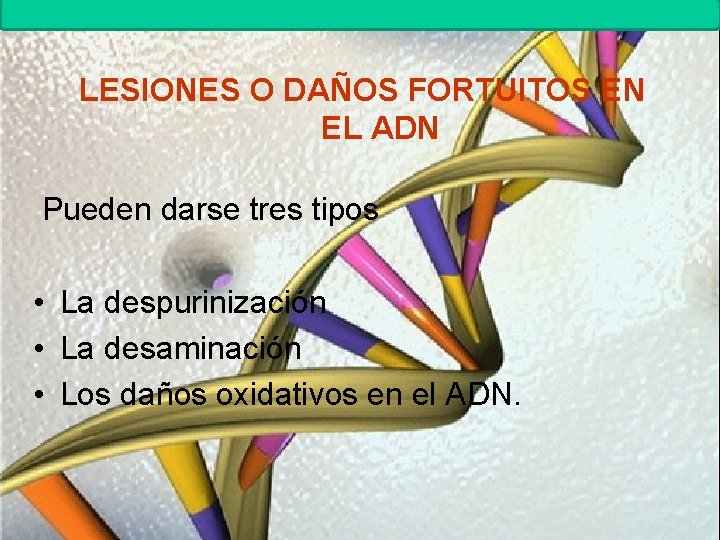 MUTACIONES Biología. 2º Bachillerato LESIONES O DAÑOS FORTUITOS EN EL ADN Pueden darse tres