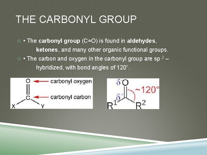 THE CARBONYL GROUP • The carbonyl group (C=O) is found in aldehydes, ketones, and
