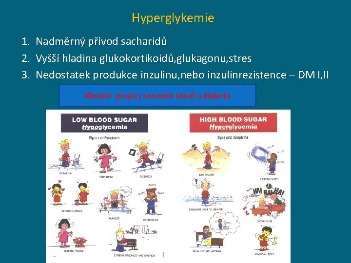 Hyperglykemie 1. Nadměrný přívod sacharidů 2. Vyšší hladina glukokortikoidů, glukagonu, stres 3. Nedostatek produkce