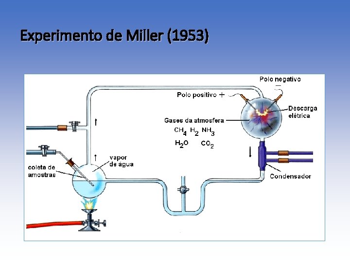 Experimento de Miller (1953) 