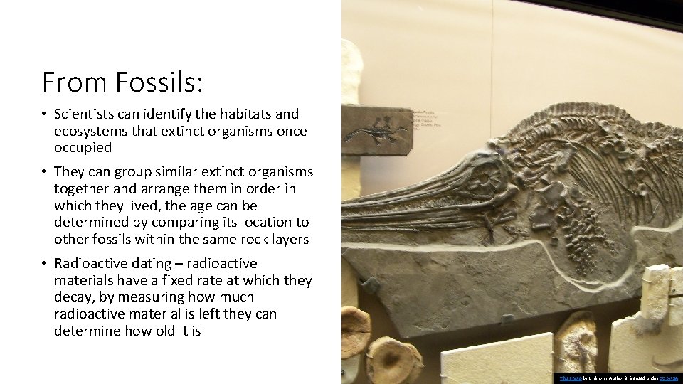 From Fossils: • Scientists can identify the habitats and ecosystems that extinct organisms once