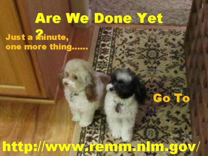 Are We Done Yet Just a ? minute, one more thing…… Go To http: