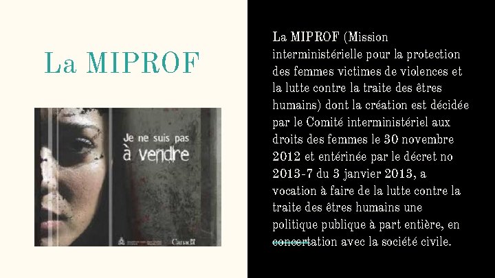 La MIPROF (Mission interministérielle pour la protection des femmes victimes de violences et la