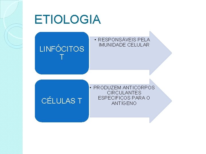 ETIOLOGIA LINFÓCITOS T CÉLULAS T • RESPONSÁVEIS PELA IMUNIDADE CELULAR • PRODUZEM ANTICORPOS CIRCULANTES