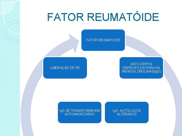 FATOR REUMATÓIDE FATOR REUMATOIDE LIBERAÇÃO DE FR Ig. G SE TRANSFORMA EM AUTOIMUNÓGENO ANTICORPOS