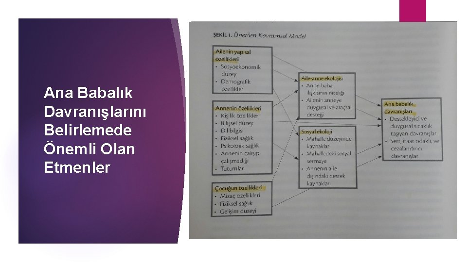 Ana Babalık Davranışlarını Belirlemede Önemli Olan Etmenler 