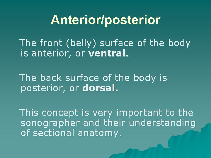 Anterior/posterior The front (belly) surface of the body is anterior, or ventral. The back