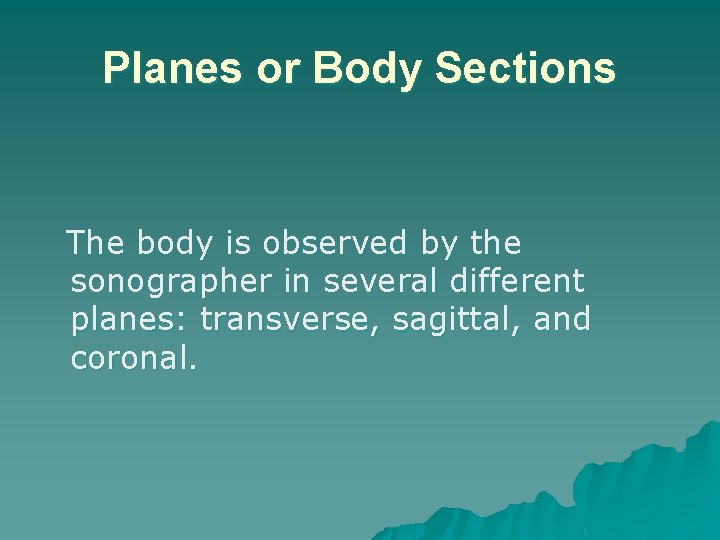 Planes or Body Sections The body is observed by the sonographer in several different