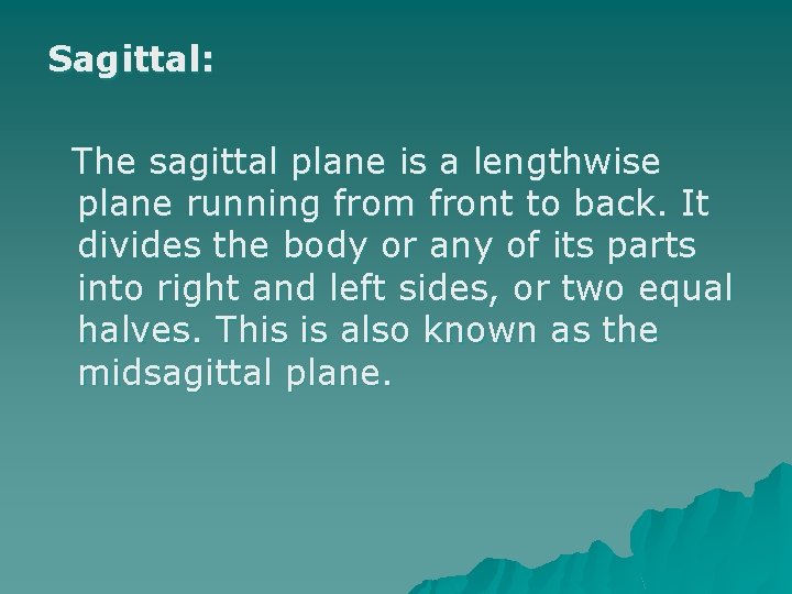 Sagittal: The sagittal plane is a lengthwise plane running from front to back. It