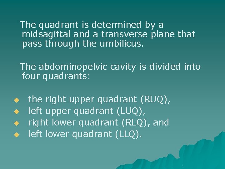 The quadrant is determined by a midsagittal and a transverse plane that pass through