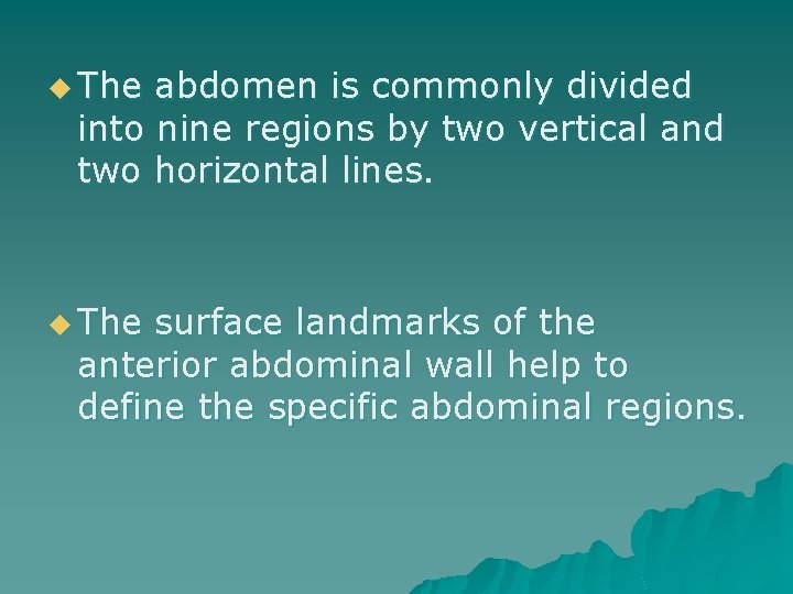 u The abdomen is commonly divided into nine regions by two vertical and two