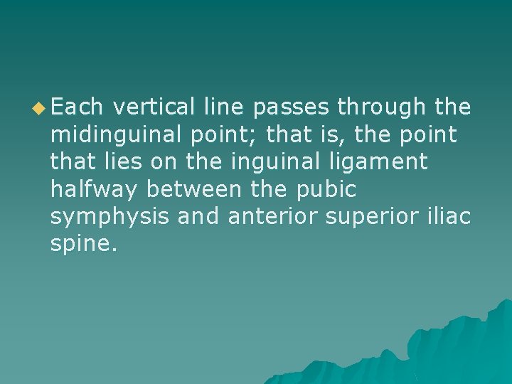 u Each vertical line passes through the midinguinal point; that is, the point that