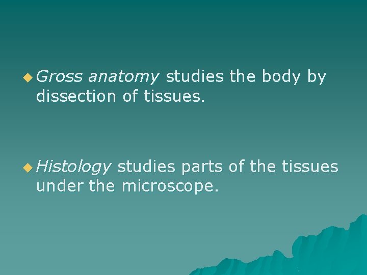 u Gross anatomy studies the body by dissection of tissues. u Histology studies parts