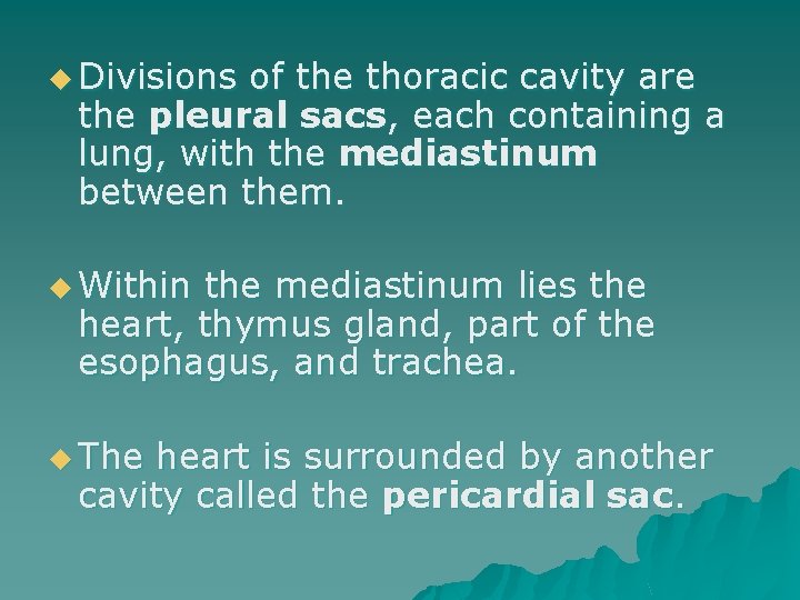 u Divisions of the thoracic cavity are the pleural sacs, each containing a lung,