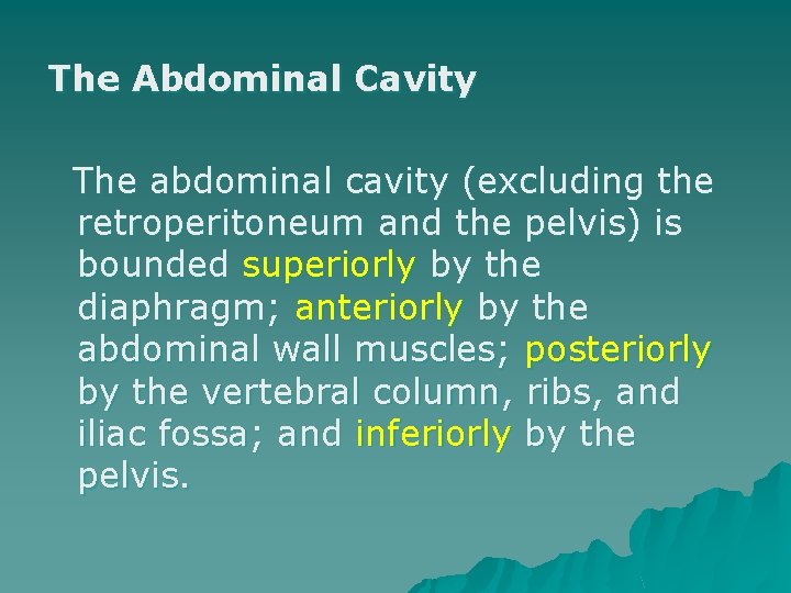 The Abdominal Cavity The abdominal cavity (excluding the retroperitoneum and the pelvis) is bounded
