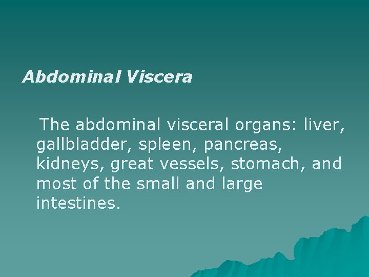 Abdominal Viscera The abdominal visceral organs: liver, gallbladder, spleen, pancreas, kidneys, great vessels, stomach,