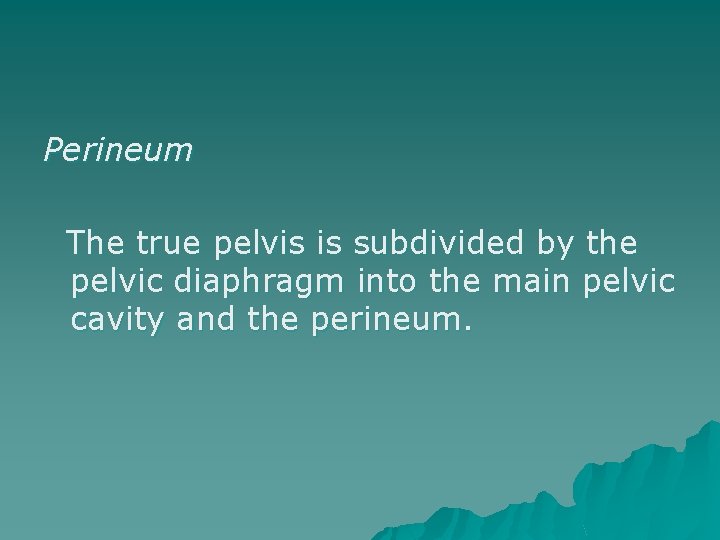 Perineum The true pelvis is subdivided by the pelvic diaphragm into the main pelvic