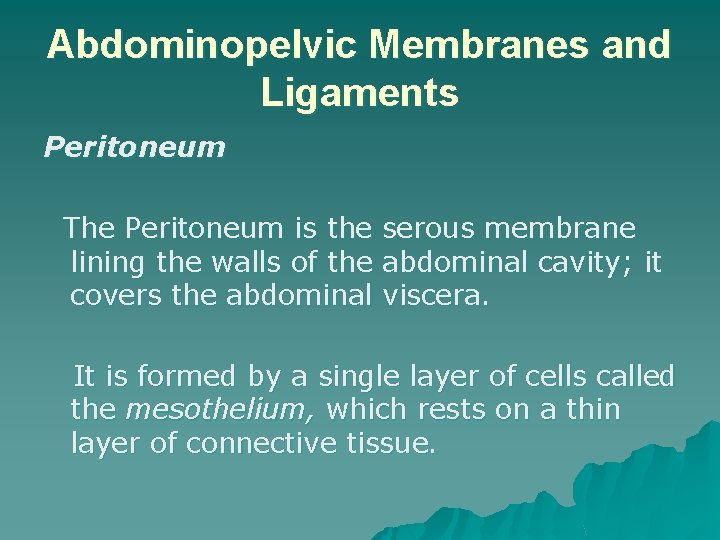 Abdominopelvic Membranes and Ligaments Peritoneum The Peritoneum is the serous membrane lining the walls