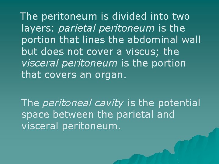 The peritoneum is divided into two layers: parietal peritoneum is the portion that lines