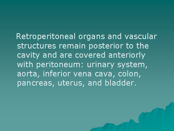 Retroperitoneal organs and vascular structures remain posterior to the cavity and are covered anteriorly