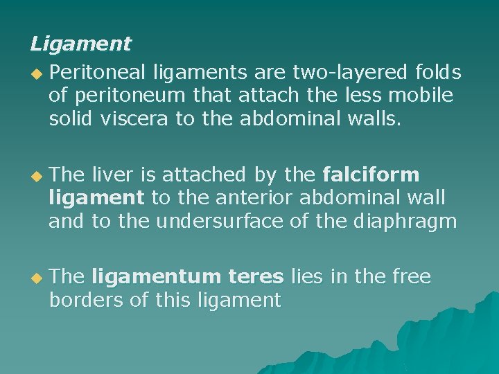 Ligament u Peritoneal ligaments are two-layered folds of peritoneum that attach the less mobile