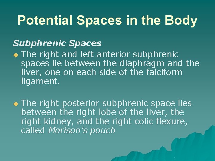 Potential Spaces in the Body Subphrenic Spaces u The right and left anterior subphrenic