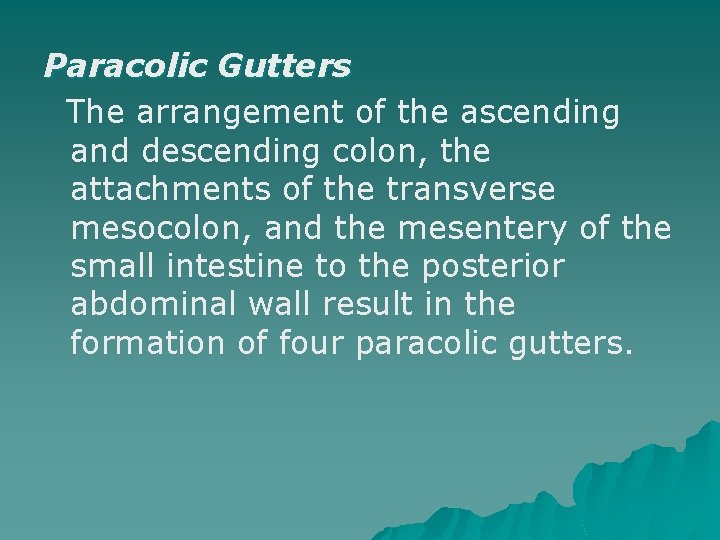 Paracolic Gutters The arrangement of the ascending and descending colon, the attachments of the