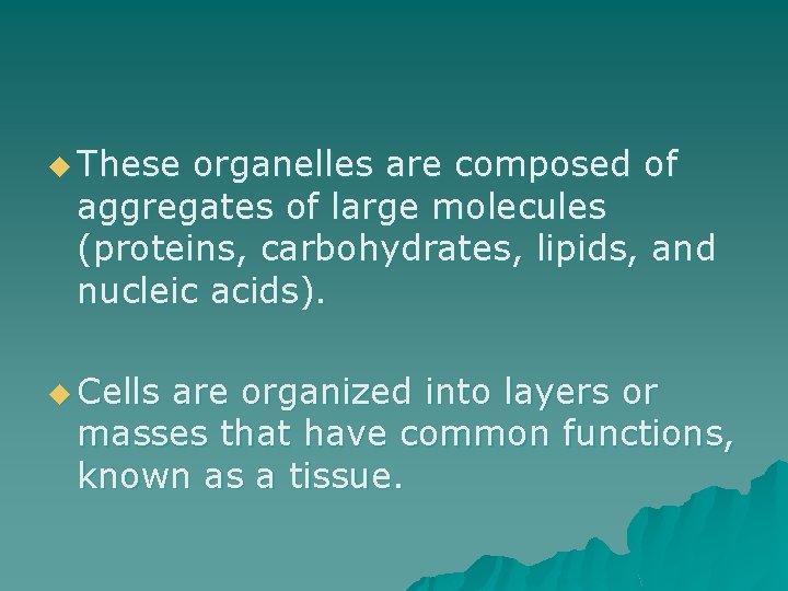 u These organelles are composed of aggregates of large molecules (proteins, carbohydrates, lipids, and