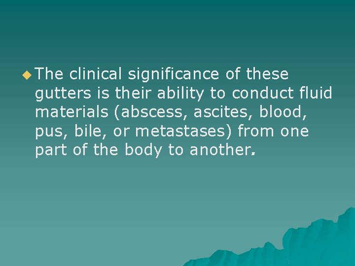 u The clinical significance of these gutters is their ability to conduct fluid materials