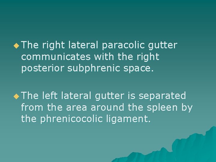 u The right lateral paracolic gutter communicates with the right posterior subphrenic space. u