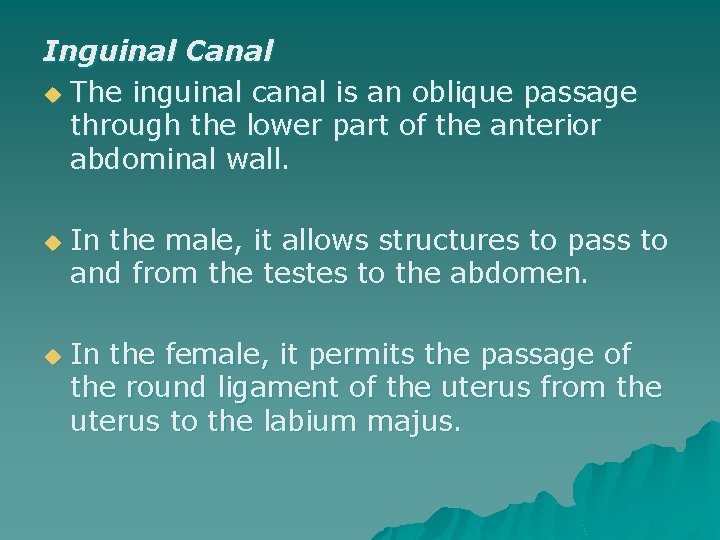 Inguinal Canal u The inguinal canal is an oblique passage through the lower part