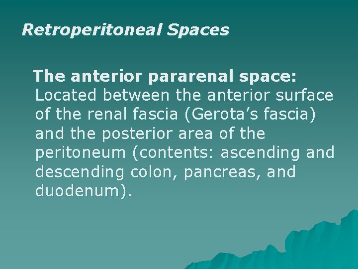 Retroperitoneal Spaces The anterior pararenal space: Located between the anterior surface of the renal