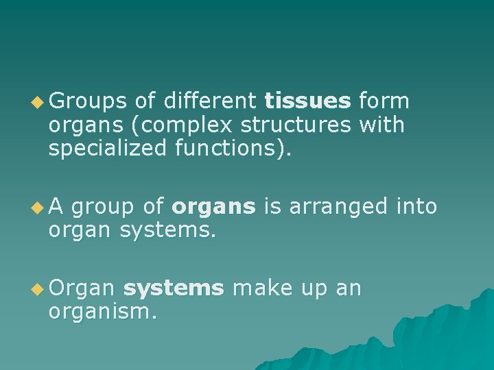 u Groups of different tissues form organs (complex structures with specialized functions). u. A