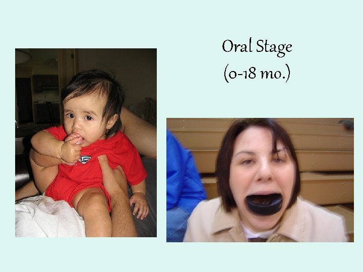 Oral Stage (0 -18 mo. ) 