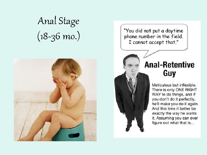 Anal Stage (18 -36 mo. ) 