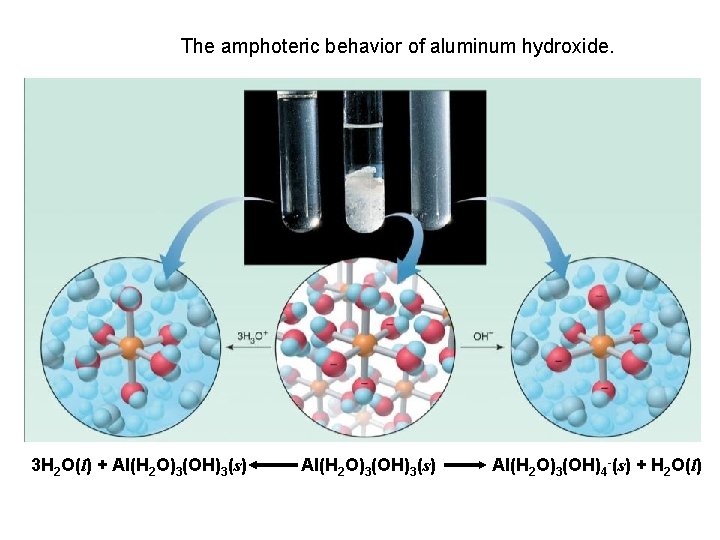 The amphoteric behavior of aluminum hydroxide. 3 H 2 O(l) + Al(H 2 O)3(OH)3(s)