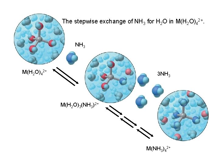 The stepwise exchange of NH 3 for H 2 O in M(H 2 O)42+.